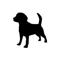 image de profil de default-img-chien.jpg