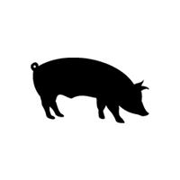 image de profil de default-img-cochon.jpg